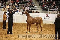 08usn-s09886 proof