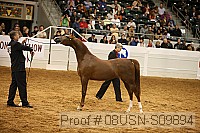 08usn-s09894 proof