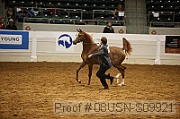 08usn-s09921 proof