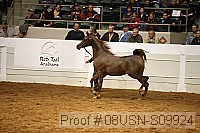 08usn-s09924 proof