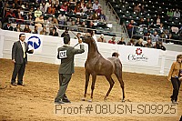 08usn-s09925 proof