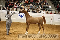 08usn-s09931 proof