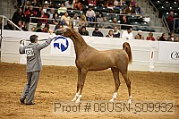08usn-s09932 proof