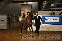 08usn-09254 proof