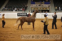 08usn-09257 proof