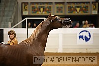 08usn-09258 proof