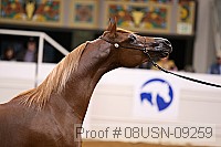 08usn-09259 proof
