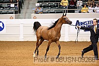 08usn-09266 proof