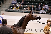 08usn-09274 proof