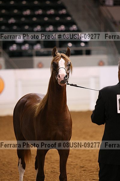 Proof 08usn-09277