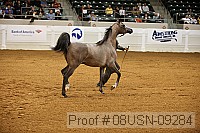 08usn-09284 proof