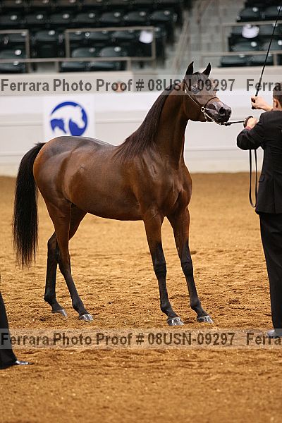 Proof 08usn-09297