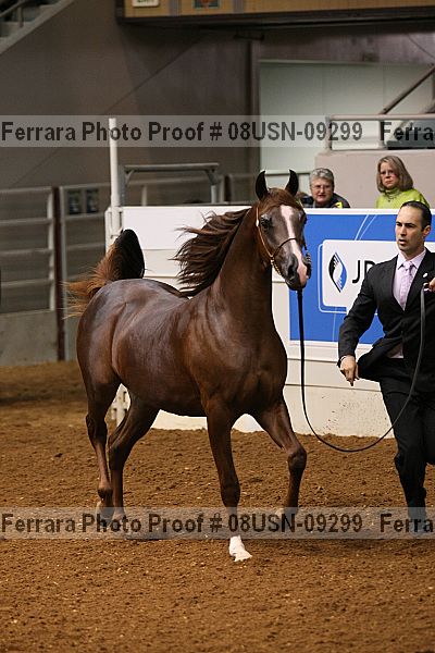 Proof 08usn-09299