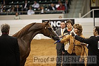 08usn-09310 proof