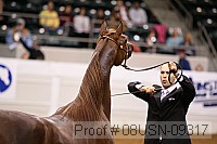 08usn-09317 proof