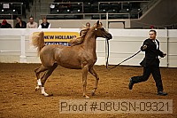 08usn-09321 proof
