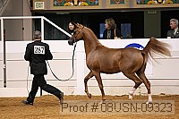 08usn-09323 proof