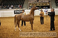 08usn-09328 proof