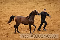 08usn-09331 proof