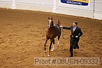 08usn-09332 proof