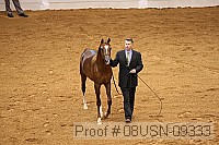 08usn-09333 proof