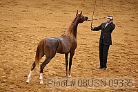 08usn-09335 proof