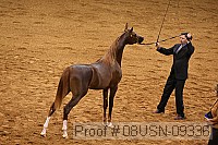 08usn-09336 proof