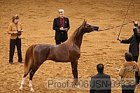 08usn-09338 proof