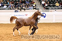 08usn-09342 proof