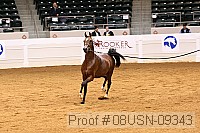 08usn-09343 proof