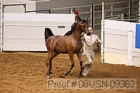 08usn-09362 proof
