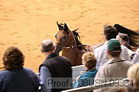 08usn-09364 proof