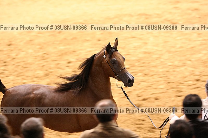 Proof 08usn-09366