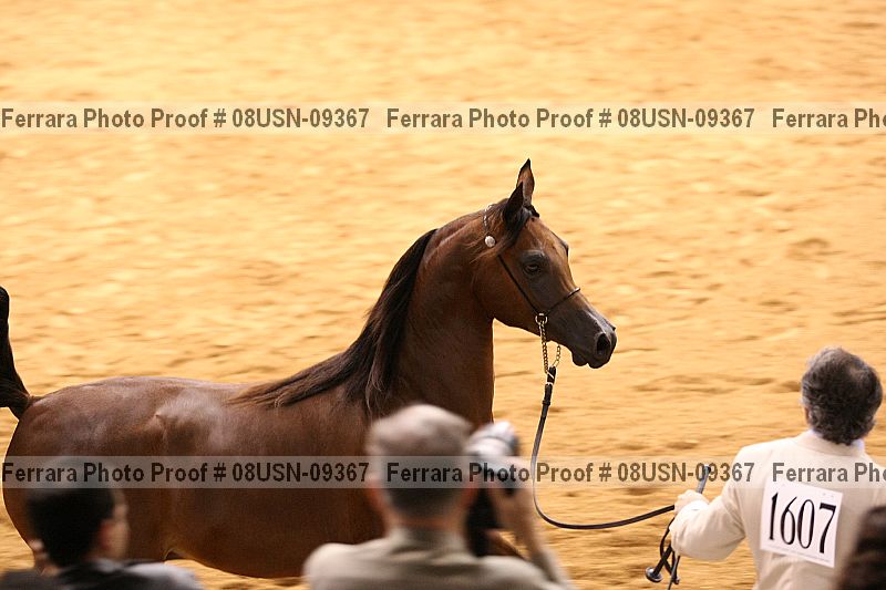 Proof 08usn-09367