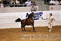 08usn-09369 proof