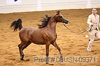 08usn-09371 proof