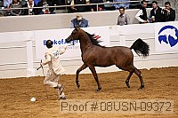 08usn-09372 proof