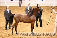 08usn-09373 proof