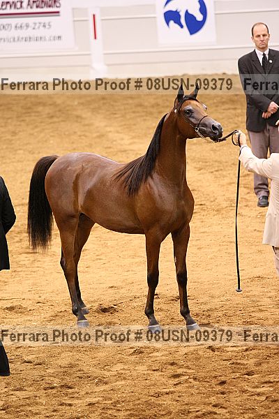 Proof 08usn-09379