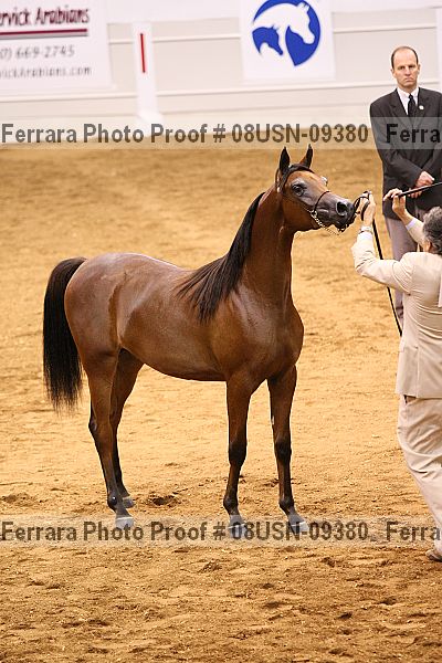 Proof 08usn-09380