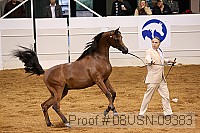 08usn-09383 proof