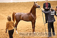 08usn-09387 proof