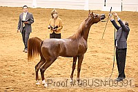 08usn-09391 proof