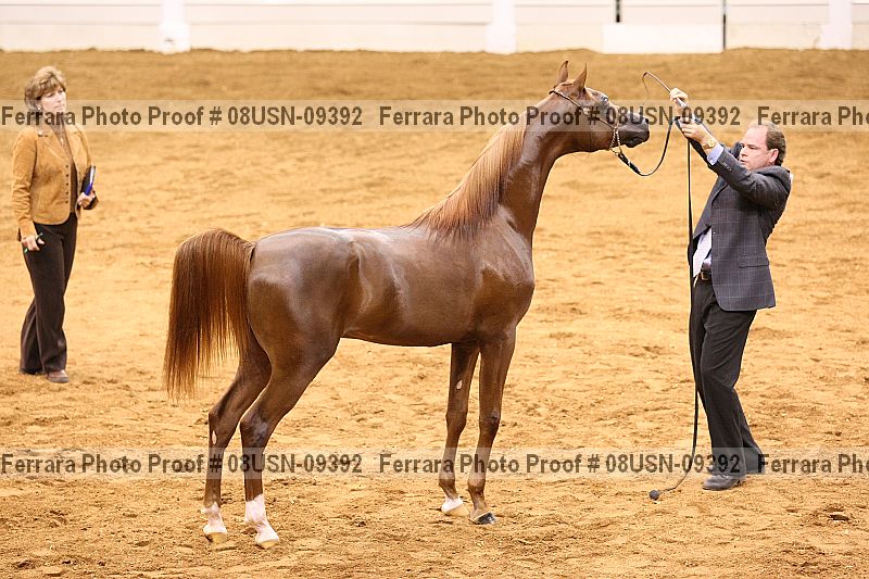 Proof 08usn-09392