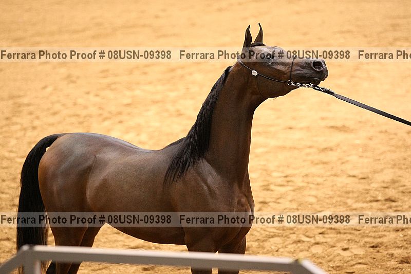 Proof 08usn-09398