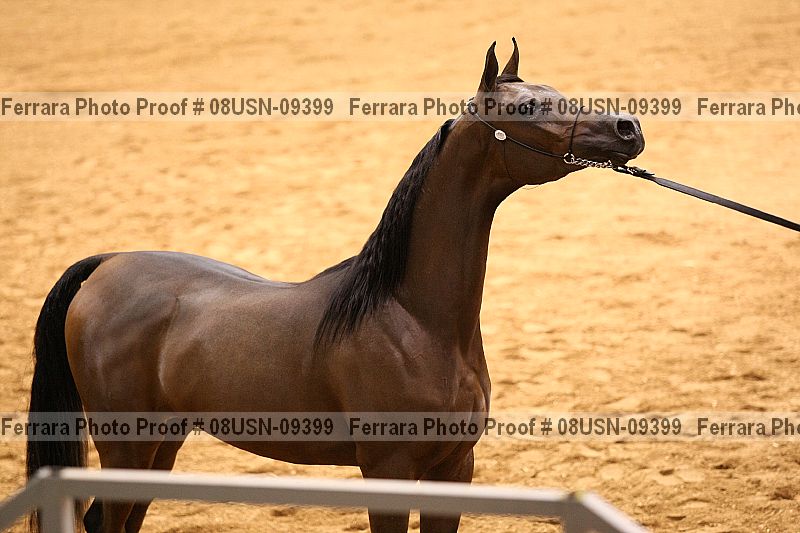 Proof 08usn-09399