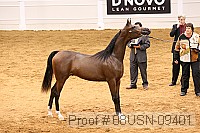 08usn-09401 proof