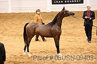 08usn-09403 proof