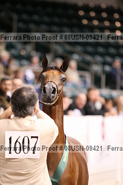 Proof 08usn-09421