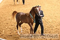 08usn-09446 proof